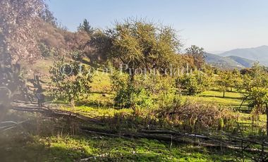 Se vende parcela de 8 ha. con cabaña y piscina en sector MIraflores, Curacaví.