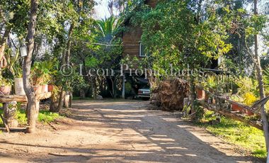 Se vende parcela de 8 ha. con cabaña y piscina en sector MIraflores, Curacaví.