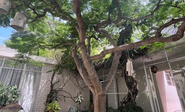 BAJÓ DE PRECIO!!!  CASA/TERRENO:  2 FRENTES, AVENIDA Y PARQUE