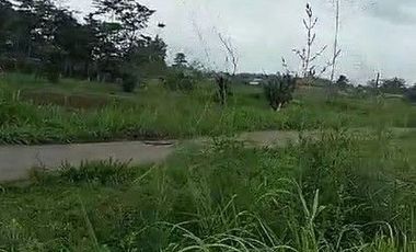 125 Tumbak Sawah Pinggir Jalan Lembur Sawah, Cihampelas Bandung Barat