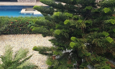 VENTA AMPLIA CASA D 3 RECAMARAS CON JARDIN Y ALBERCA EN PLAYA DE VACAS, VERACRUZ