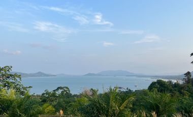 1.5 rai of palm plantation land with a hillside sea view for sale in Takua Thung, Phang Nga.