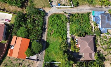 Land for sale in Rim Tai, Mae Rim, Chiang Mai