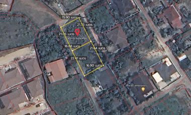 Land for sale in Rim Tai, Mae Rim, Chiang Mai