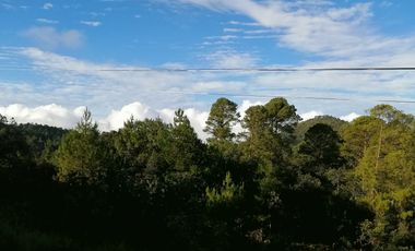PRECIOSO LOTE CON FRENTE A PAISAJES INCREIBLES DEL VALLE DE CHIAPAS