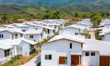 Palo Santo Park