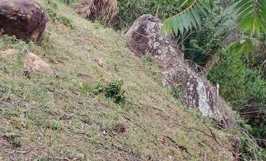 VENTA DE LOTE MELGAR