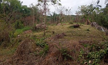 VENTA DE LOTE MELGAR