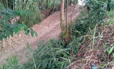 EXCELENTE TERRENO EN CUETZALAN DEL PROGRESO. A 6 CALLES DE LA PARROQUIA Y EL ZÓCALO .