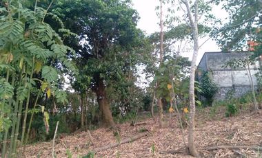 EXCELENTE TERRENO EN CUETZALAN DEL PROGRESO. A 6 CALLES DE LA PARROQUIA Y EL ZÓCALO .