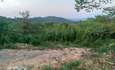 EXCELENTE TERRENO EN CUETZALAN DEL PROGRESO. A 6 CALLES DE LA PARROQUIA Y EL ZÓCALO .