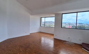 VENTA DEPARTAMENTO PENTHOUSE DUPLEX PARQUE INGLES SECTOR SAN CARLOS