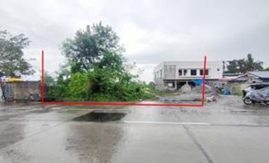 Land for sale in Baliuag-Candaba Road, Brgy. San Roque, Baliuag, Bulacan