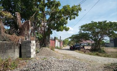 Lotfor sale:  Macammus Village, Tramo Road, Tuguegarao City