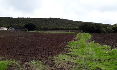 Finca en Guasca vereda el Chircal Via entre Guasca y Guatavita, c.v.1858
