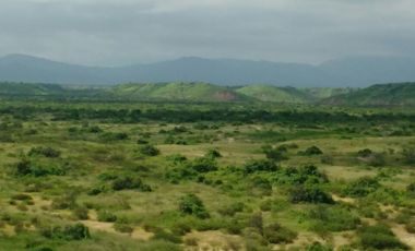 Terreno en Piura – Sullana 18,035 Has