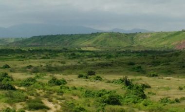 Terreno en Piura – Sullana 18,035 Has