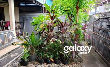 DIJUAL RUMAH SUDIRMAN DAJAN PEKEN TABANAN, BALI