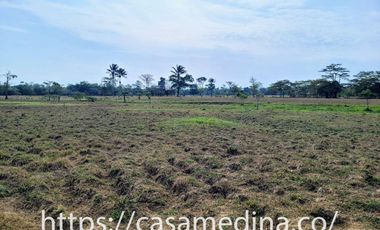 FINCA EN EXPANSION URBANA