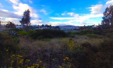 Espectacular Terreno Plano de 8157 M2, en Venta en Calderón Marianitas, DE OPORTUNIDAD.