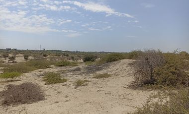 VENTA DE TERRENO DE 11 HAS, PIURA, URB. LOS EJIDOS, ZONA EXPANSION URBANA