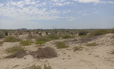 VENTA DE TERRENO DE 11 HAS, PIURA, URB. LOS EJIDOS, ZONA EXPANSION URBANA