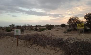 VENTA DE TERRENO DE 11 HAS, PIURA, URB. LOS EJIDOS, ZONA EXPANSION URBANA