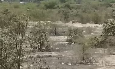 VENTA DE TERRENO DE 11 HAS, PIURA, URB. LOS EJIDOS, ZONA EXPANSION URBANA