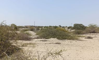 VENTA DE TERRENO DE 11 HAS, PIURA, URB. LOS EJIDOS, ZONA EXPANSION URBANA