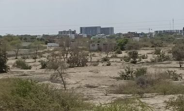 VENTA DE TERRENO DE 11 HAS, PIURA, URB. LOS EJIDOS, ZONA EXPANSION URBANA