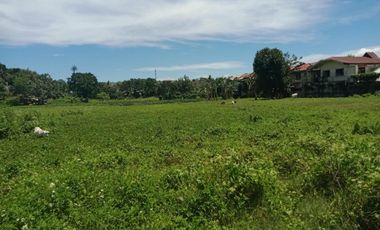 FOR SALE One Hectare Land in Bacayan, Cebu City