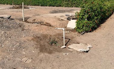 TERRENO DE CAMPO - QUILMANA ( CAÑETE )