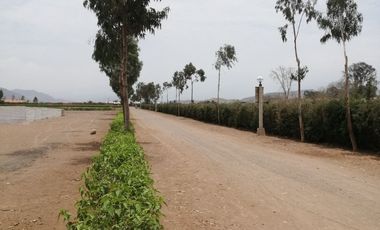 TERRENO DE CAMPO - QUILMANA ( CAÑETE )