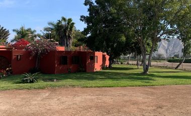 TERRENO DE CAMPO - QUILMANA ( CAÑETE )
