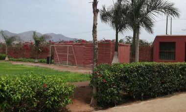 TERRENO DE CAMPO - QUILMANA ( CAÑETE )