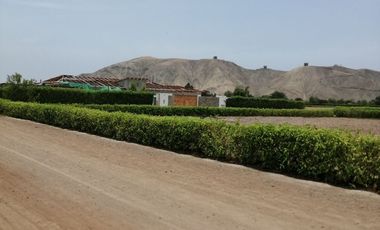 TERRENO DE CAMPO - QUILMANA ( CAÑETE )
