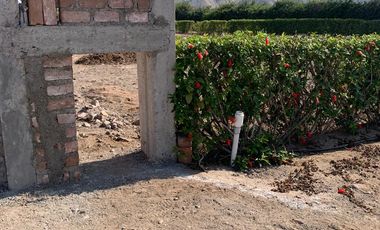 TERRENO DE CAMPO - QUILMANA ( CAÑETE )