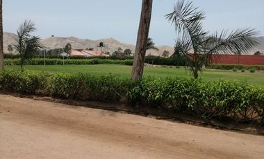 TERRENO DE CAMPO - QUILMANA ( CAÑETE )