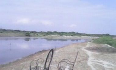 Terreno en Tumbes para Langostinera de Aprox 53 has