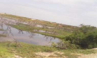 Terreno en Tumbes para Langostinera de Aprox 53 has