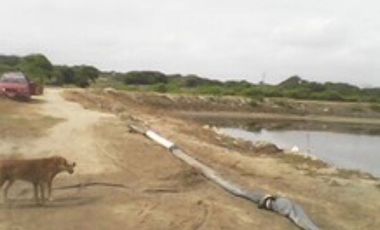 Terreno en Tumbes para Langostinera de Aprox 53 has