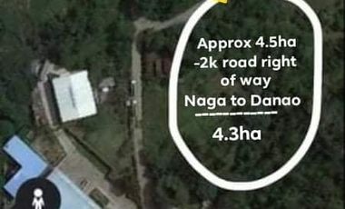 FOR SALE 4.3 Has Lot in Cantao-an Naga, Cebu