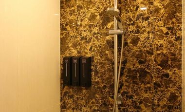For Sale!! Luxury Modern 5 star condominium in Chiang Mai.  Exclusive for Pet Lover & Business Investor.