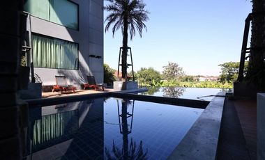 For Sale!! Luxury Modern 5 star condominium in Chiang Mai.  Exclusive for Pet Lover & Business Investor.