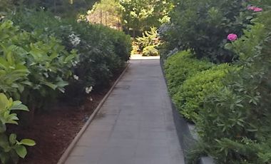 Amplio departamento 3 dormitorios, estacionamiento y bodega