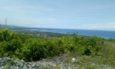 Lot for  Sale overlooking in Abugon Sibonga Cebu 5 years to pay