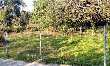 Lot for Sale in Brgy. Lalaan 1, Silang Cavite