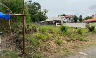 1,986 sqm Vacant Lot for Sale in Paranaque City at United Paranaque Subdivision 4