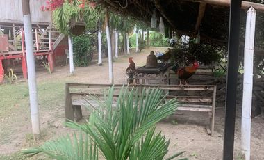 Duran - Boliche, Venta de Hermosa Finca de 6 Ha