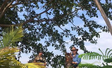 Duran - Boliche, Venta de Hermosa Finca de 6 Ha